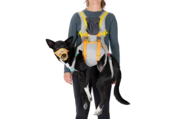 BackTrak™ Dog Evacuation Kit