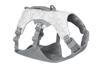 Swamp Cooler™ Dog Cooling Harness