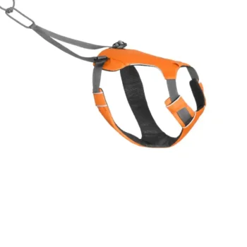Omnijore™ Dog Joring System Orange