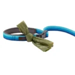 40354-Roamer-Leash-Red-Sumac-Unbuckled-Photoroom