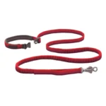 Roamer™ Bungee Dog Running Lead