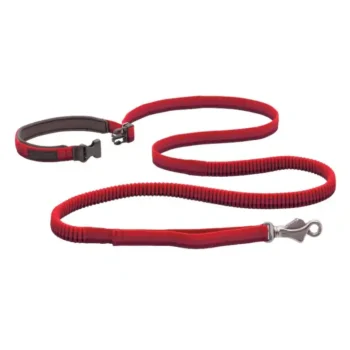 Roamer™ Bungee Dog Running Lead