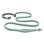 Roamer™ Bungee Dog Leash