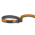 40356_RoamerLeash_RiverRockGreen_Open_SMALL_47ecc6d2-9c4b-4051-9f2b-ed58a1f39068-Photoroom