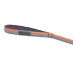 40753_Front-Range-Leash_Wildflower_Main_SMALL_a0419103-75c3-4071-9dfb-49d7249ebd3c-Photoroom