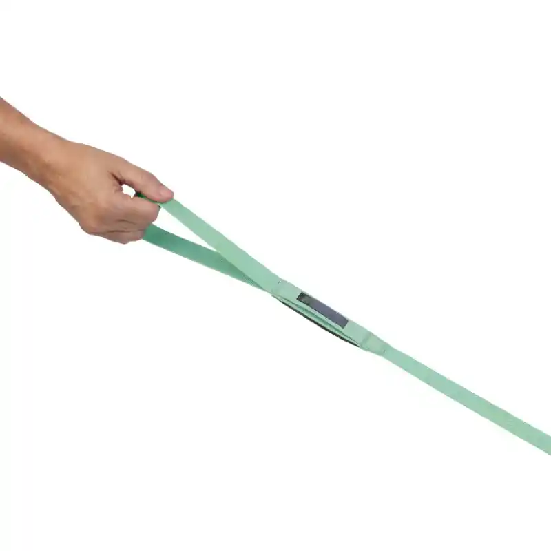 CompressedPNG-4085-Hi-And-Light-Leash-Sage-Green-Hand-STUDIO-Photoroom